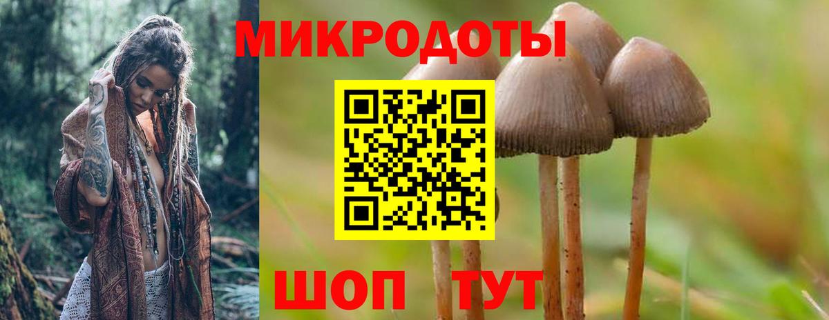 Псилоцибиновые грибы мухоморы Октябрьский