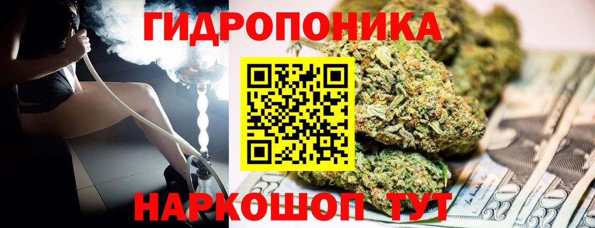 Бошки марихуана Bruce Banner  Вход с VPN  Марихуана сатива  Октябрьский  МАРИХУАНА Ganja 